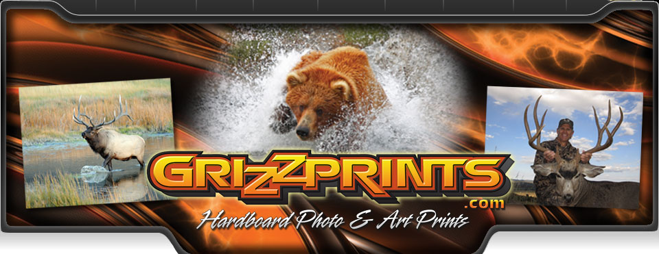 GrizzPrints